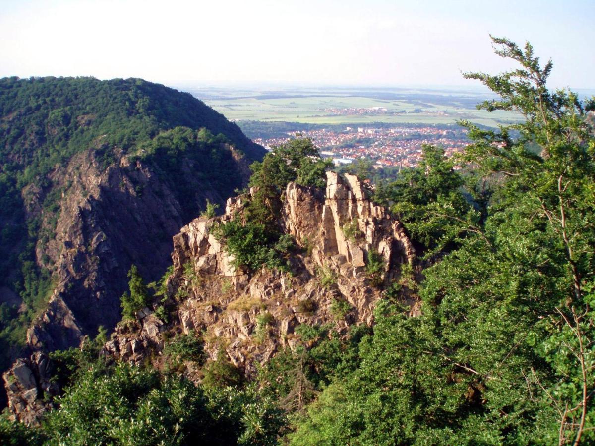 Apartment 2 Langelsheim Harz 外观 照片