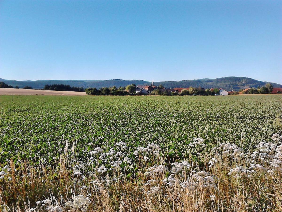 Apartment 2 Langelsheim Harz 外观 照片